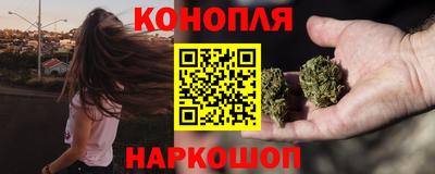 прущие крисы Будённовск