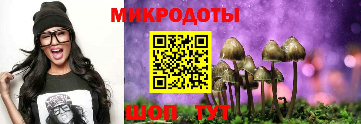 Сердобск  купить наркотик  Вход с VPN  Псилоцибиновые грибы Magic Shrooms 